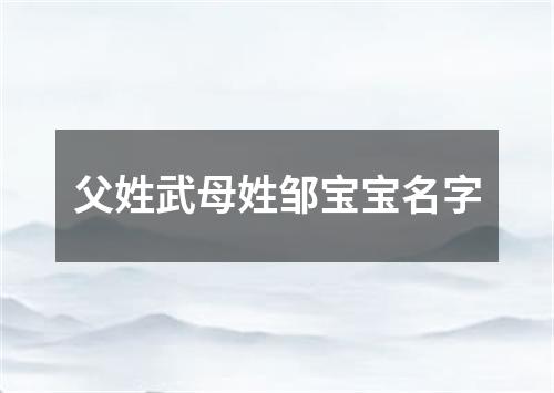 父姓武母姓邹宝宝名字