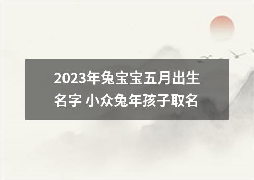 2023年兔宝宝五月出生名字 小众兔年孩子取名