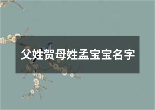 父姓贺母姓孟宝宝名字
