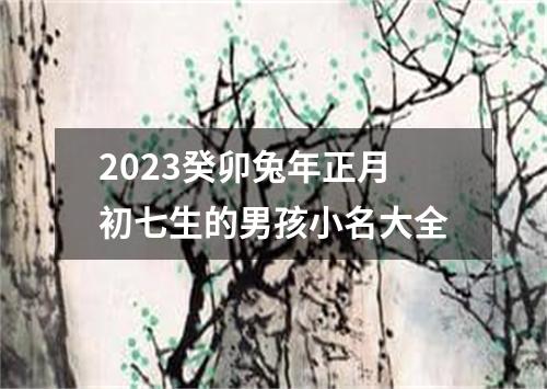 2023癸卯兔年正月初七生的男孩小名大全