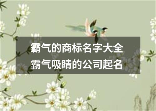 霸气的商标名字大全 霸气吸睛的公司起名