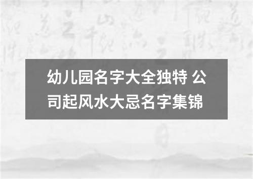 幼儿园名字大全独特 公司起风水大忌名字集锦