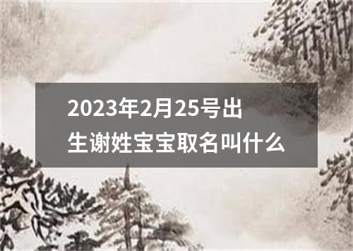 2023年2月25号出生谢姓宝宝取名叫什么