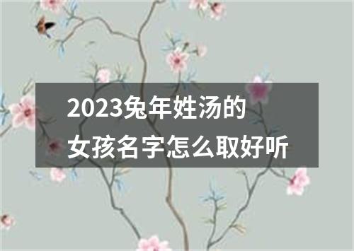 2023兔年姓汤的女孩名字怎么取好听