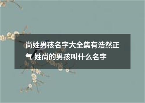 尚姓男孩名字大全集有浩然正气 姓尚的男孩叫什么名字