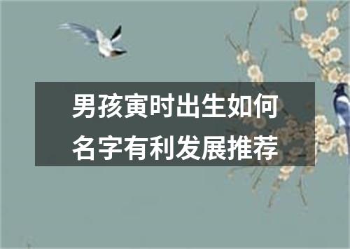 男孩寅时出生如何名字有利发展推荐