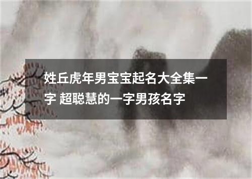 姓丘虎年男宝宝起名大全集一字 超聪慧的一字男孩名字