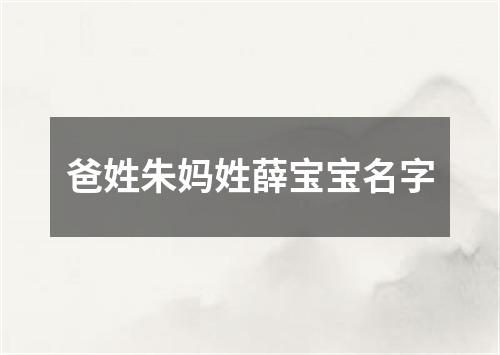爸姓朱妈姓薛宝宝名字