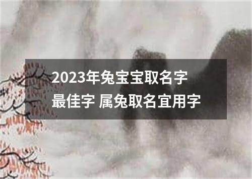 2023年兔宝宝取名字最佳字 属兔取名宜用字