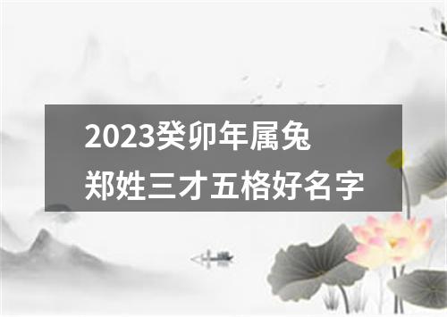 2023癸卯年属兔郑姓三才五格好名字