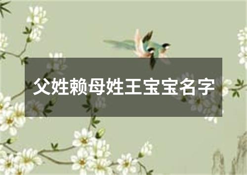 父姓赖母姓王宝宝名字