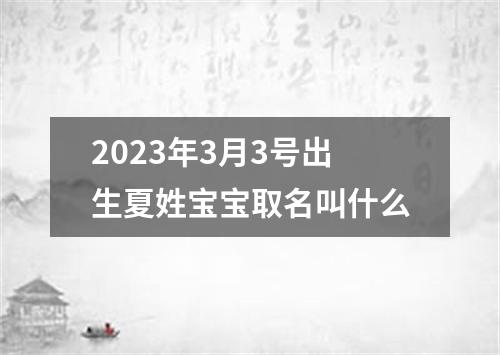 2023年3月3号出生夏姓宝宝取名叫什么