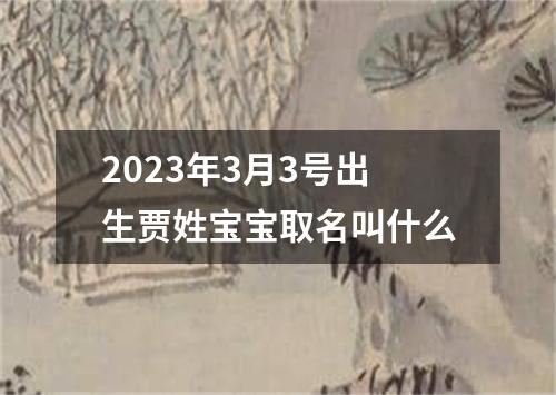 2023年3月3号出生贾姓宝宝取名叫什么