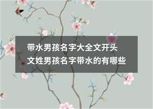 带水男孩名字大全文开头 文姓男孩名字带水的有哪些