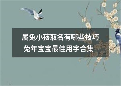 属兔小孩取名有哪些技巧 兔年宝宝最佳用字合集