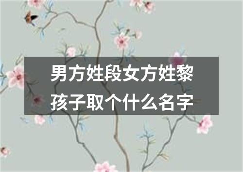 男方姓段女方姓黎孩子取个什么名字
