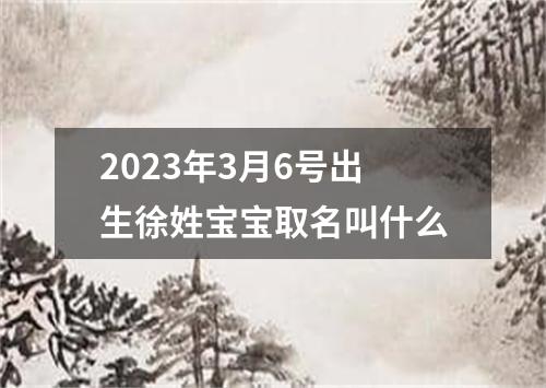 2023年3月6号出生徐姓宝宝取名叫什么
