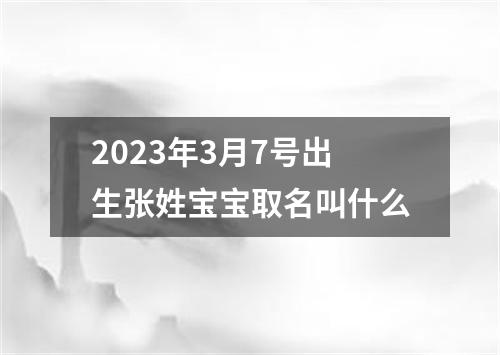 2023年3月7号出生张姓宝宝取名叫什么