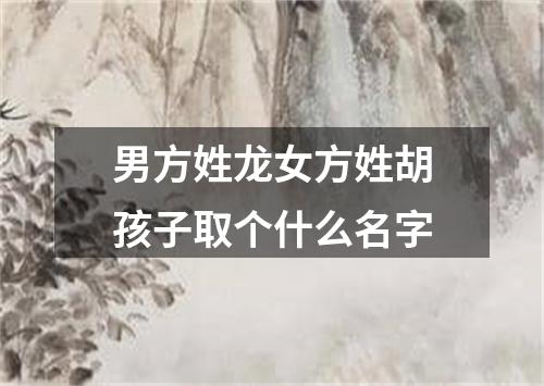 男方姓龙女方姓胡孩子取个什么名字