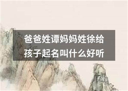 爸爸姓谭妈妈姓徐给孩子起名叫什么好听