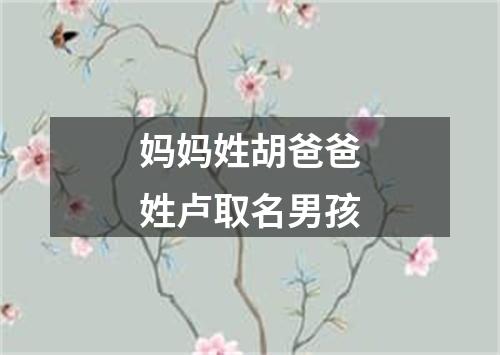 妈妈姓胡爸爸姓卢取名男孩