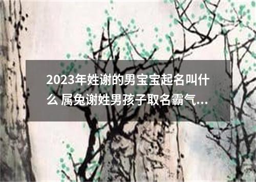 2023年姓谢的男宝宝起名叫什么 属兔谢姓男孩子取名霸气好听