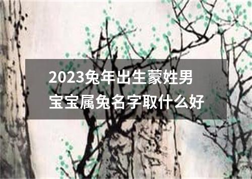 2023兔年出生蒙姓男宝宝属兔名字取什么好