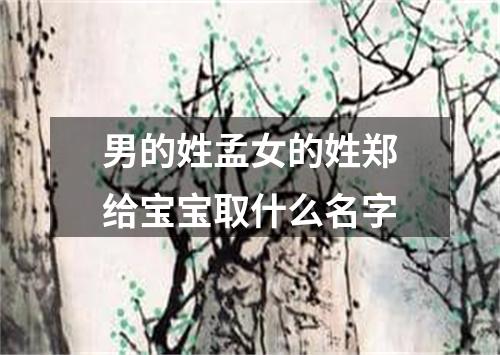 男的姓孟女的姓郑给宝宝取什么名字