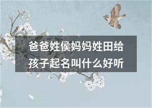 爸爸姓侯妈妈姓田给孩子起名叫什么好听