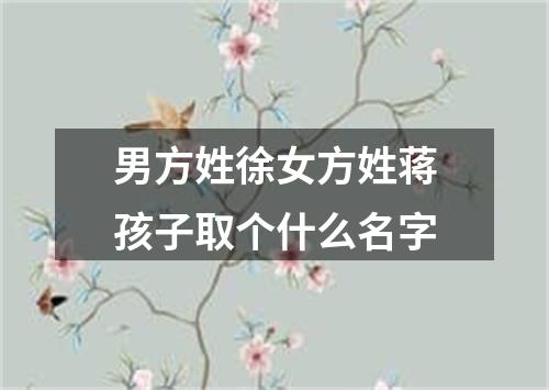 男方姓徐女方姓蒋孩子取个什么名字