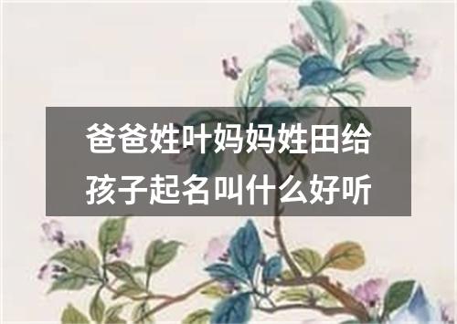 爸爸姓叶妈妈姓田给孩子起名叫什么好听