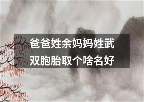 爸爸姓余妈妈姓武双胞胎取个啥名好