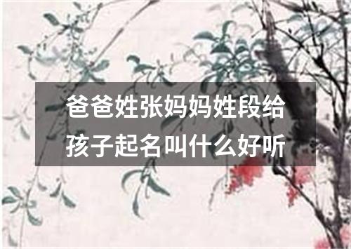 爸爸姓张妈妈姓段给孩子起名叫什么好听