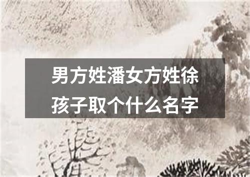 男方姓潘女方姓徐孩子取个什么名字