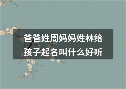 爸爸姓周妈妈姓林给孩子起名叫什么好听