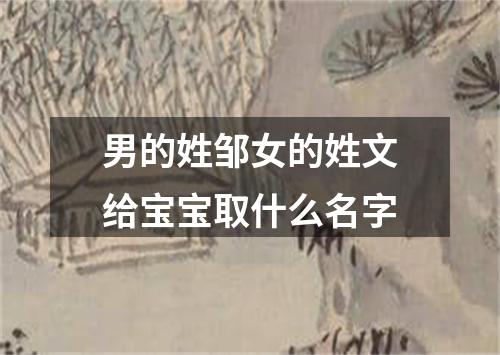 男的姓邹女的姓文给宝宝取什么名字