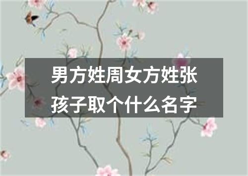 男方姓周女方姓张孩子取个什么名字