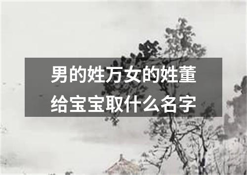 男的姓万女的姓董给宝宝取什么名字