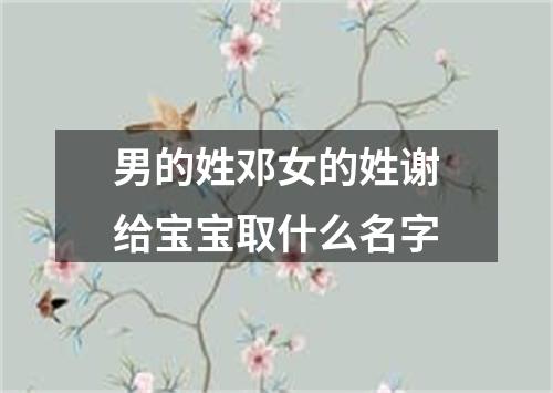 男的姓邓女的姓谢给宝宝取什么名字