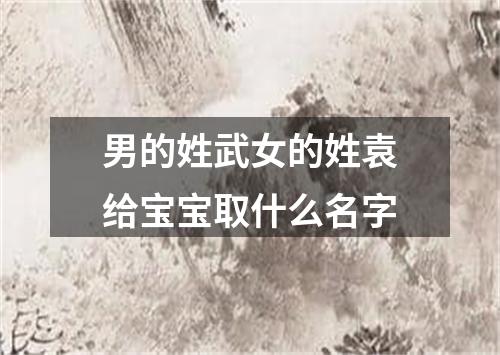 男的姓武女的姓袁给宝宝取什么名字
