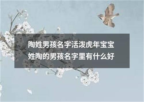 陶姓男孩名字活泼虎年宝宝 姓陶的男孩名字里有什么好