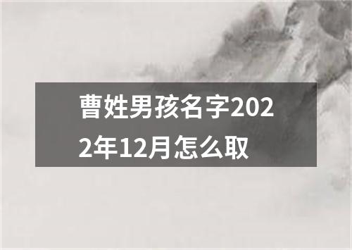 曹姓男孩名字2022年12月怎么取