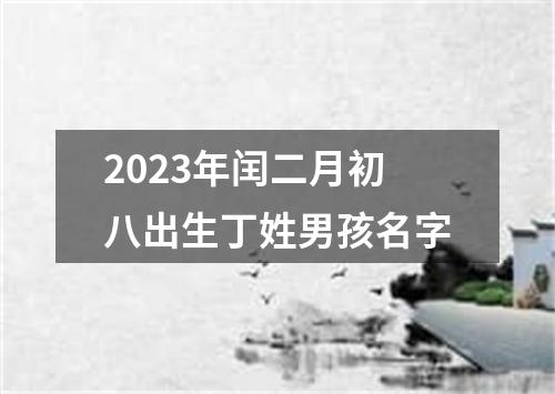 2023年闰二月初八出生丁姓男孩名字