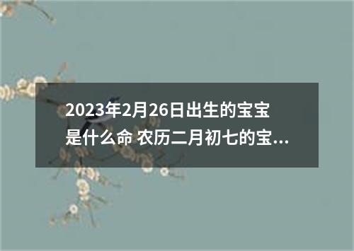 2023年2月26日出生的宝宝是什么命 农历二月初七的宝宝八字起名