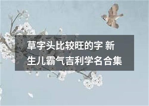 草字头比较旺的字 新生儿霸气吉利学名合集