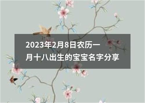 2023年2月8日农历一月十八出生的宝宝名字分享
