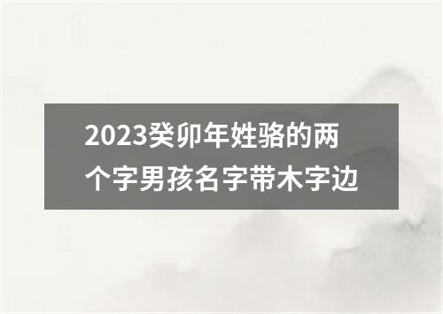 2023癸卯年姓骆的两个字男孩名字带木字边
