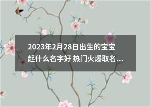 2023年2月28日出生的宝宝起什么名字好 热门火爆取名建议