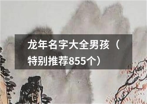 龙年名字大全男孩(特别推荐855个)