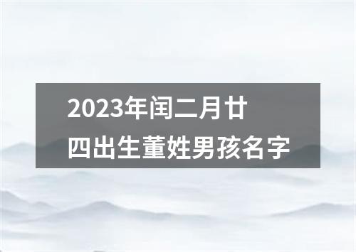 2023年闰二月廿四出生董姓男孩名字
